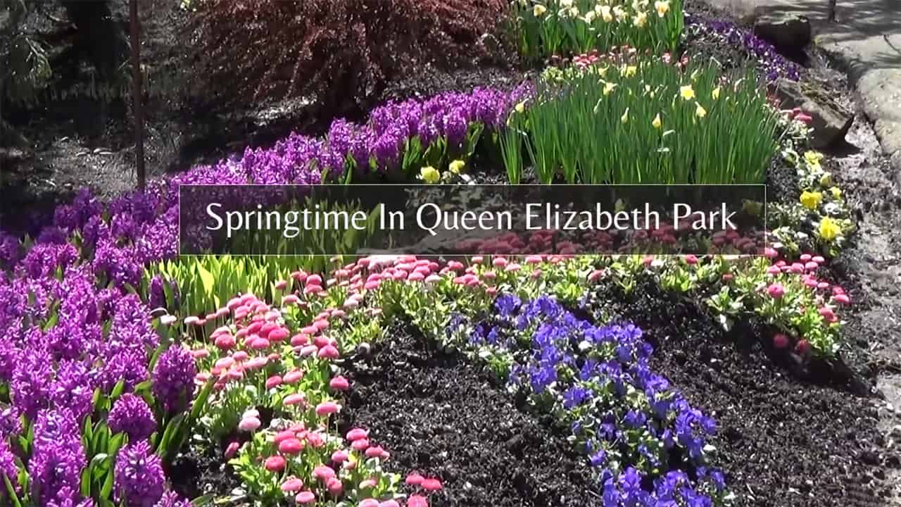 Springtime in Queen Elizabeth Park Vancouver, BC