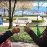 Vancouver Spring Cherry Blossom Picnic