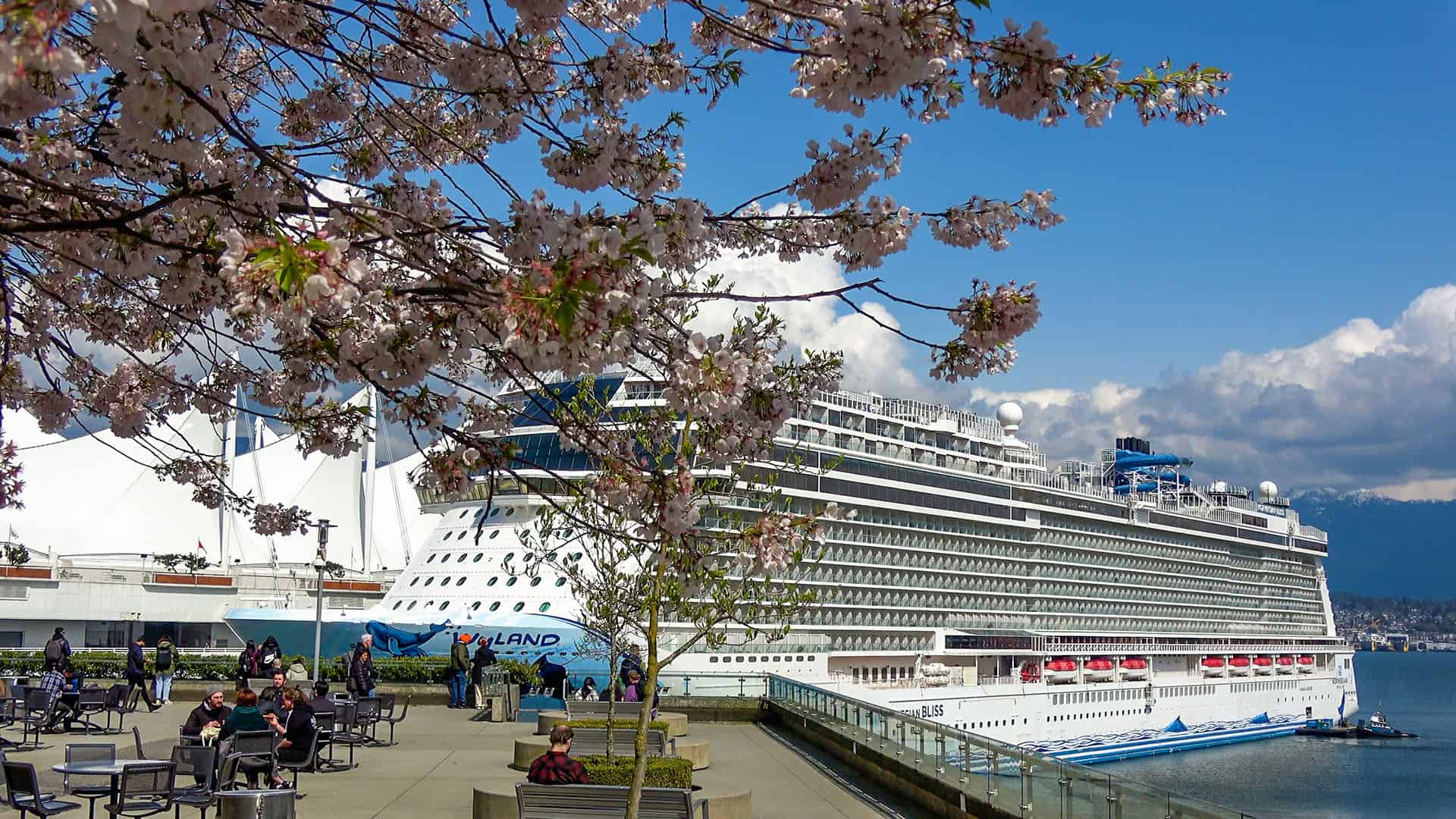 Vancouver BC Cruise Ships and Cherry Blossoms