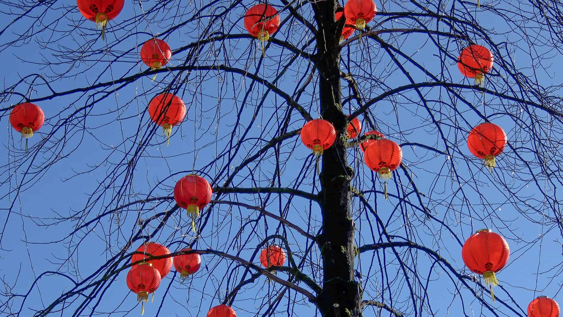 Lunar New Year In Vancouver, BC