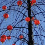 Lunar New Year In Vancouver, BC